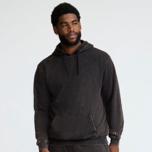 Time Capsule Hoodie. Left Chest C Champion Script Logo - Big & Tall