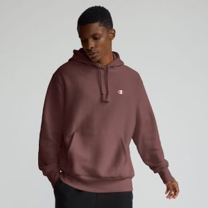 Reverse Weave Hoodie. C Logo