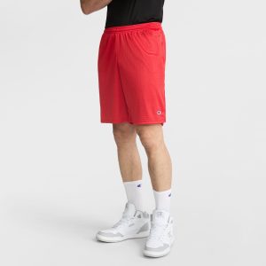 9 Classic Mesh Shorts. C Logo