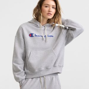 Powerblend Hoodie. Script Logo